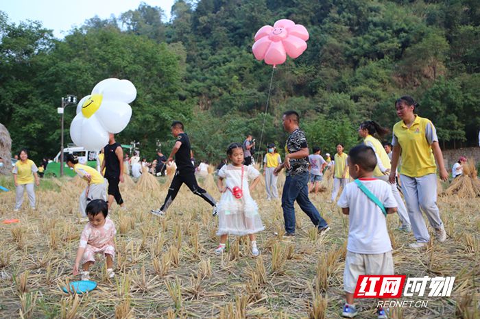 秋收后的稻田成为乐园，图为人们在田野里游玩，乐享亲子时光。.jpg