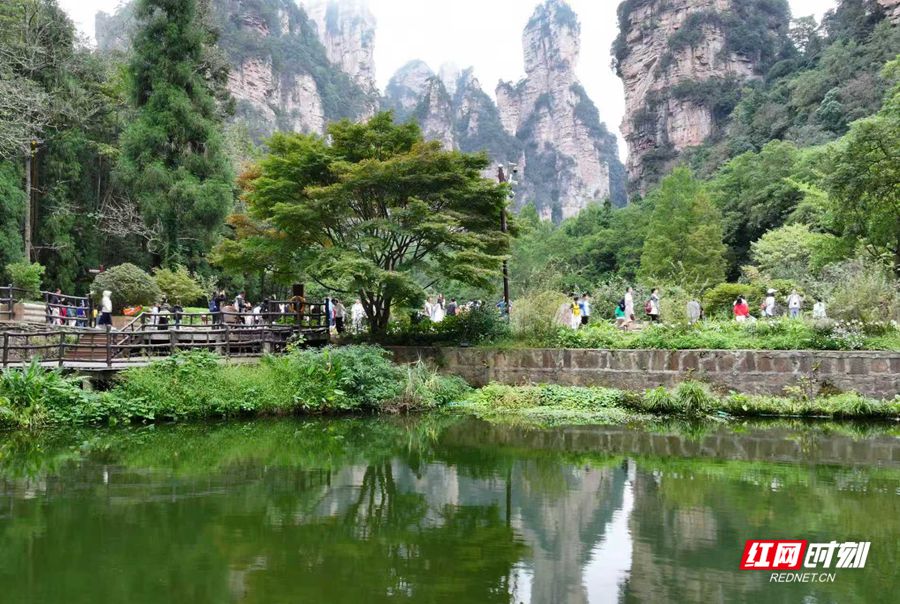 微信图片_2025-10-05_165224_865_副本.jpg