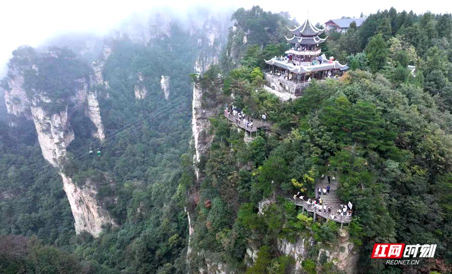 微信图片_2025-10-05_165215_289_副本.jpg