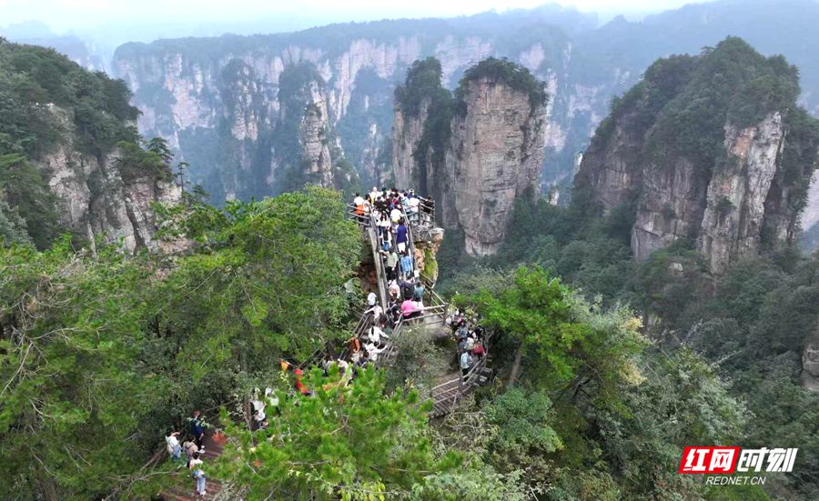 微信图片_2025-10-05_165222_439_副本.jpg