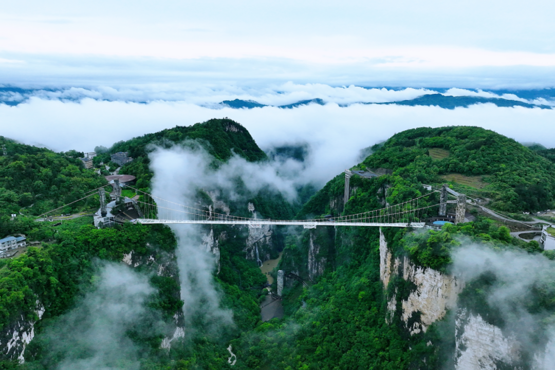 微信图片_2025-08-18_092108_465.png