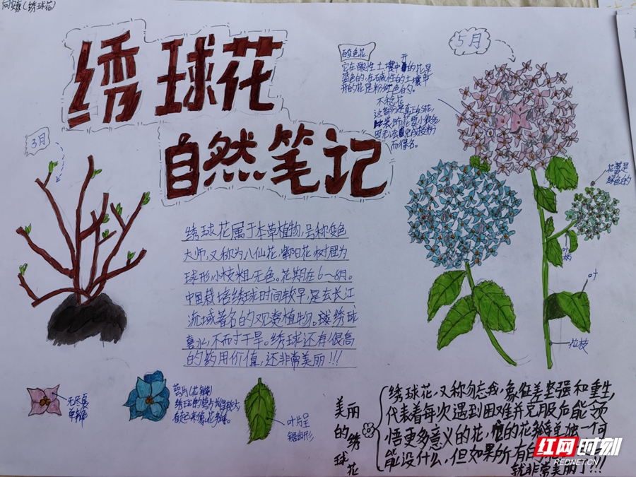 微信图片_20250805163731_副本.jpg