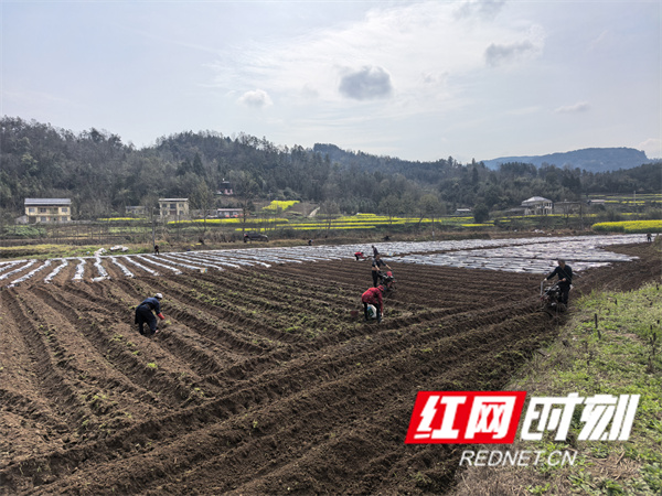 ca10dfa19124a3a0a451a7c08466369_副本.jpg