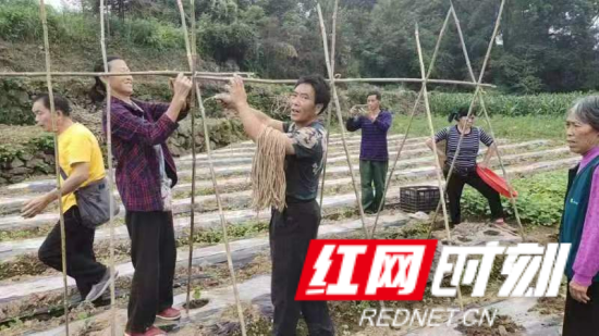 小南瓜_副本.png
