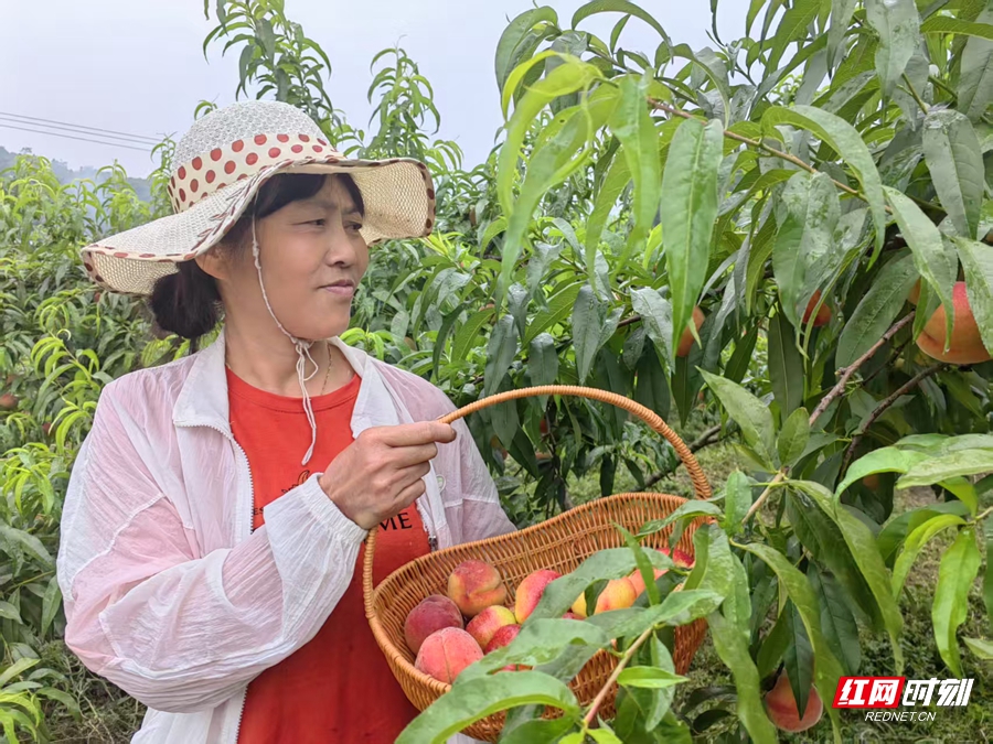 微信图片_20250529092234_副本.jpg