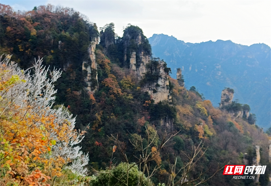 9ebb3675e454d920f7e47116ef56fbe6.jpg 9ebb3675e454d920f7e47116ef56fbe6.jpg