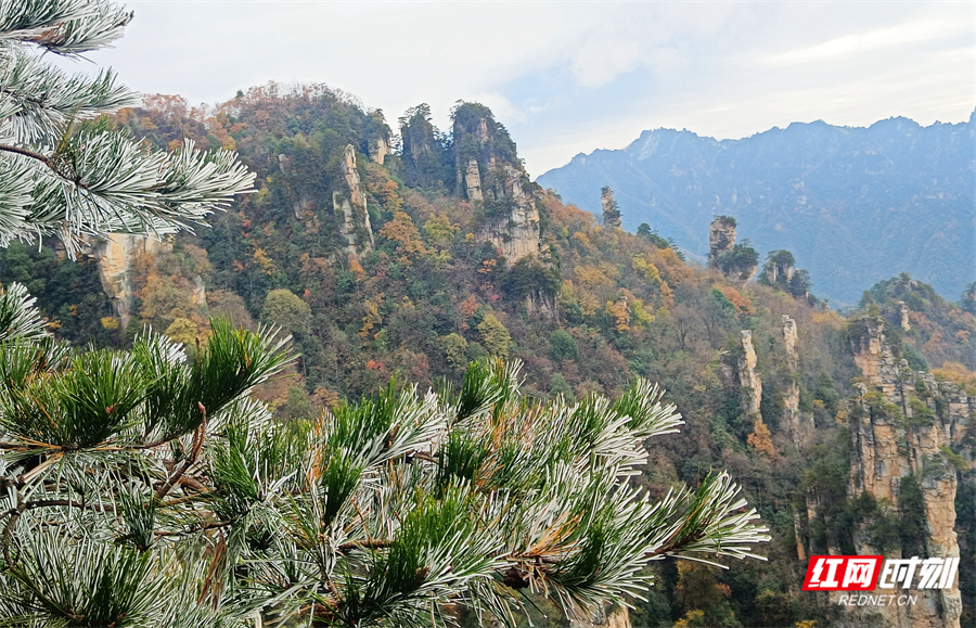 4bbaecf6efc97c3d881782fe0f1fc4e3.jpg 4bbaecf6efc97c3d881782fe0f1fc4e3.jpg