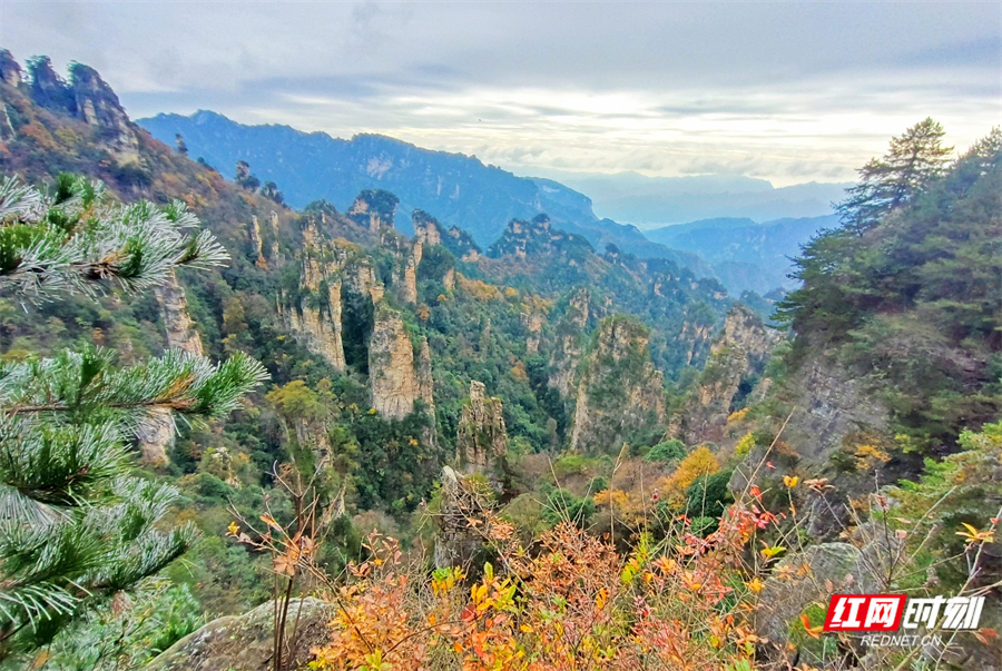 3eea9023e614ead6c29750b1a8999e02.jpg 3eea9023e614ead6c29750b1a8999e02.jpg