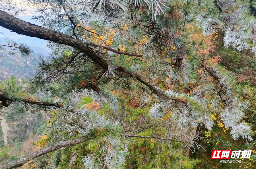 048406e2e881ea9924830daba3a21299.jpg 048406e2e881ea9924830daba3a21299.jpg