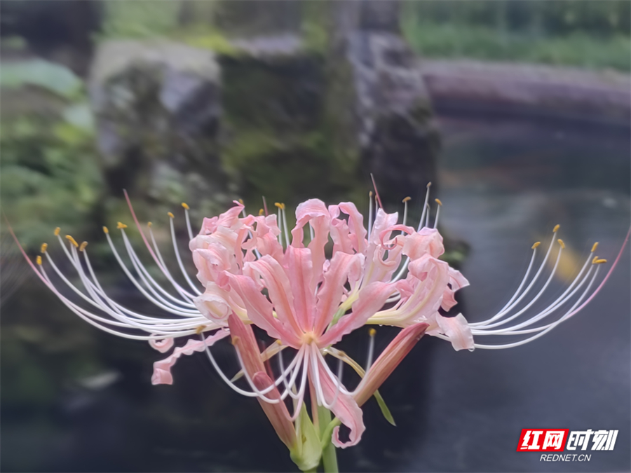 b63d57a4229a8673987267d5d4e81f3.jpg