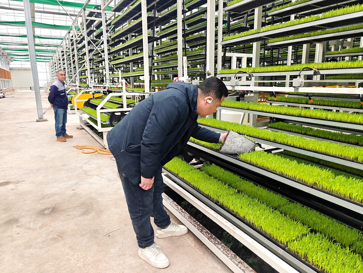 0dcdf5badb5f669127e802a8cfee8f20.jpg 0dcdf5badb5f669127e802a8cfee8f20.jpg