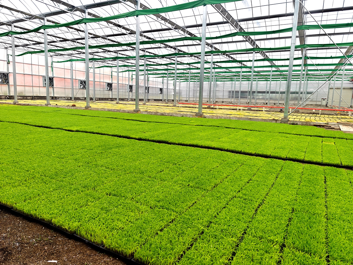 1cf8c82dc7e82f04632509b8f3e76ba6.jpg 1cf8c82dc7e82f04632509b8f3e76ba6.jpg