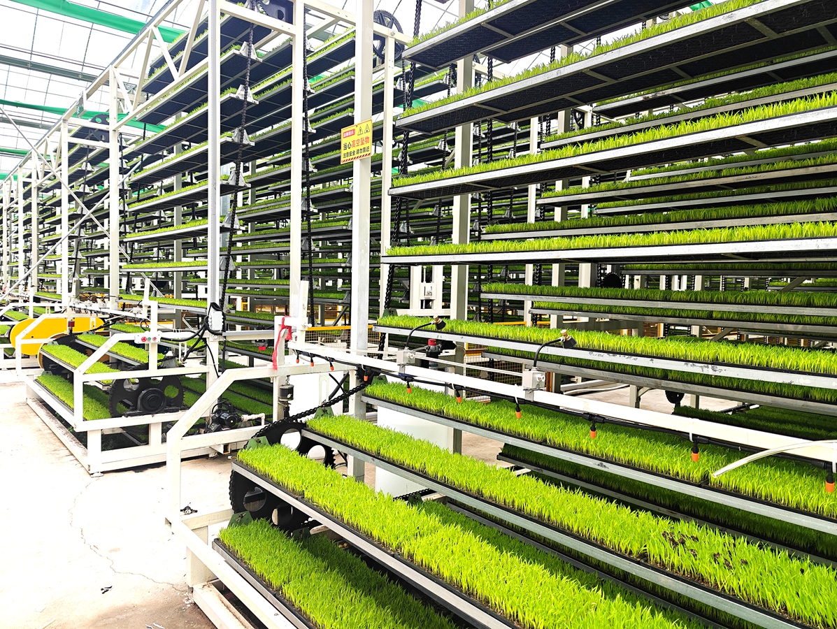 315ae59e08e86c5bc3c40eb94bebb789.jpg 315ae59e08e86c5bc3c40eb94bebb789.jpg