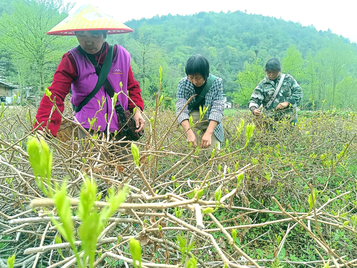 bc3da151bd6f5090b00a3b686016d28f.jpg bc3da151bd6f5090b00a3b686016d28f.jpg