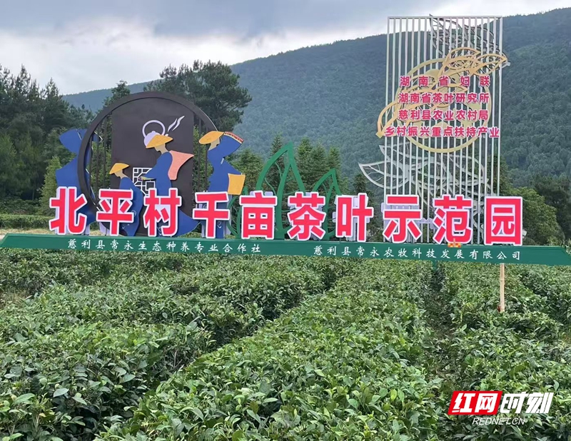 微信图片_2026-10-13_171249_290.jpg 微信图片_2026-10-13_171249_290.jpg