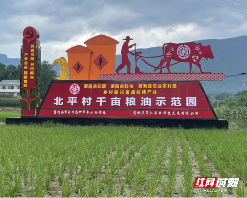 微信图片_2026-10-13_171243_016.png 微信图片_2026-10-13_171243_016.png