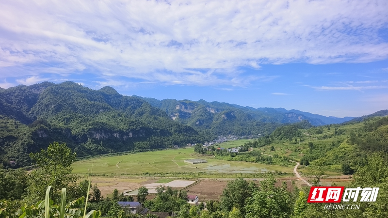 微信图片_2026-06-17_205245_855.jpg 微信图片_2026-06-17_205245_855.jpg