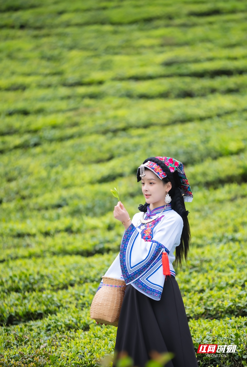 微信图片_20260720114617_188_7_副本.jpg 微信图片_20260720114617_188_7_副本.jpg