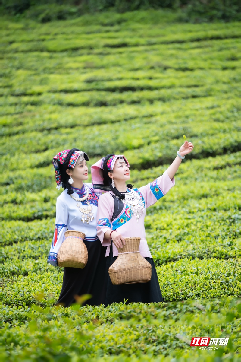 微信图片_20260720114623_189_7_副本.jpg 微信图片_20260720114623_189_7_副本.jpg
