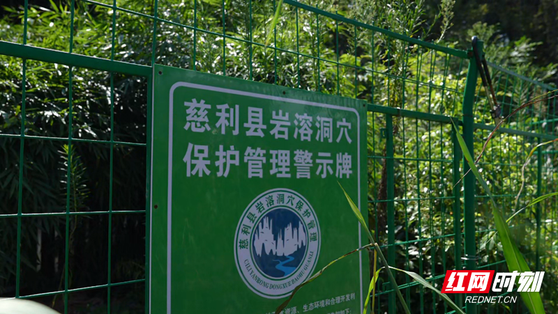 图片8.png 图片8.png
