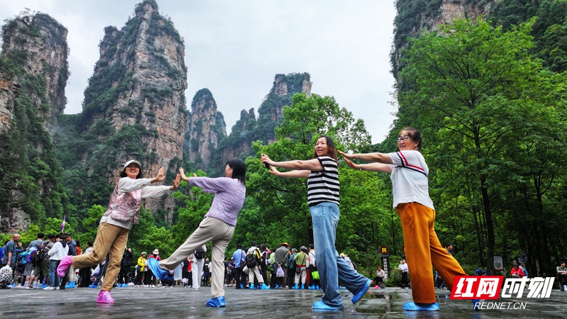 微信图片_20260917103715_1298_94.jpg 微信图片_20260917103715_1298_94.jpg