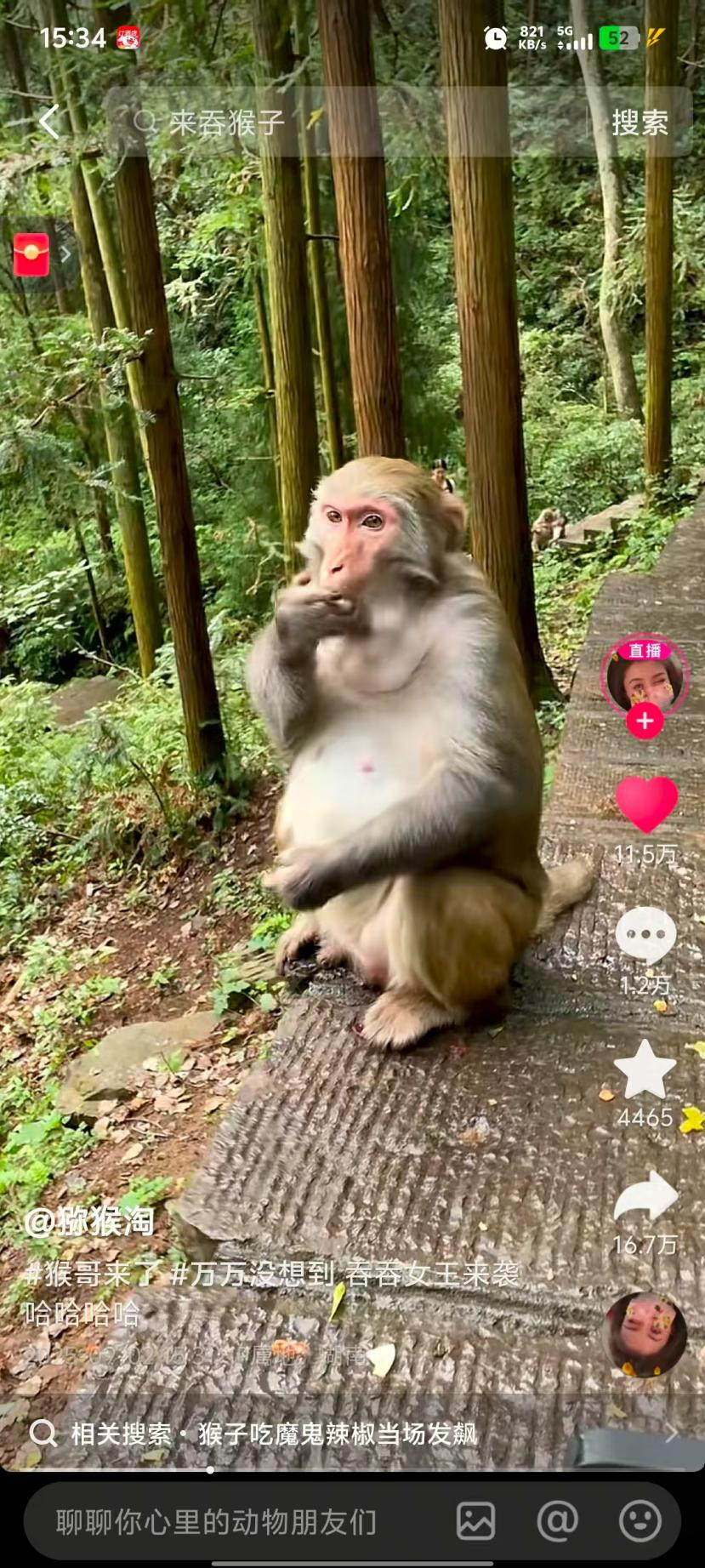 9.9图片1.png 9.9图片1.png