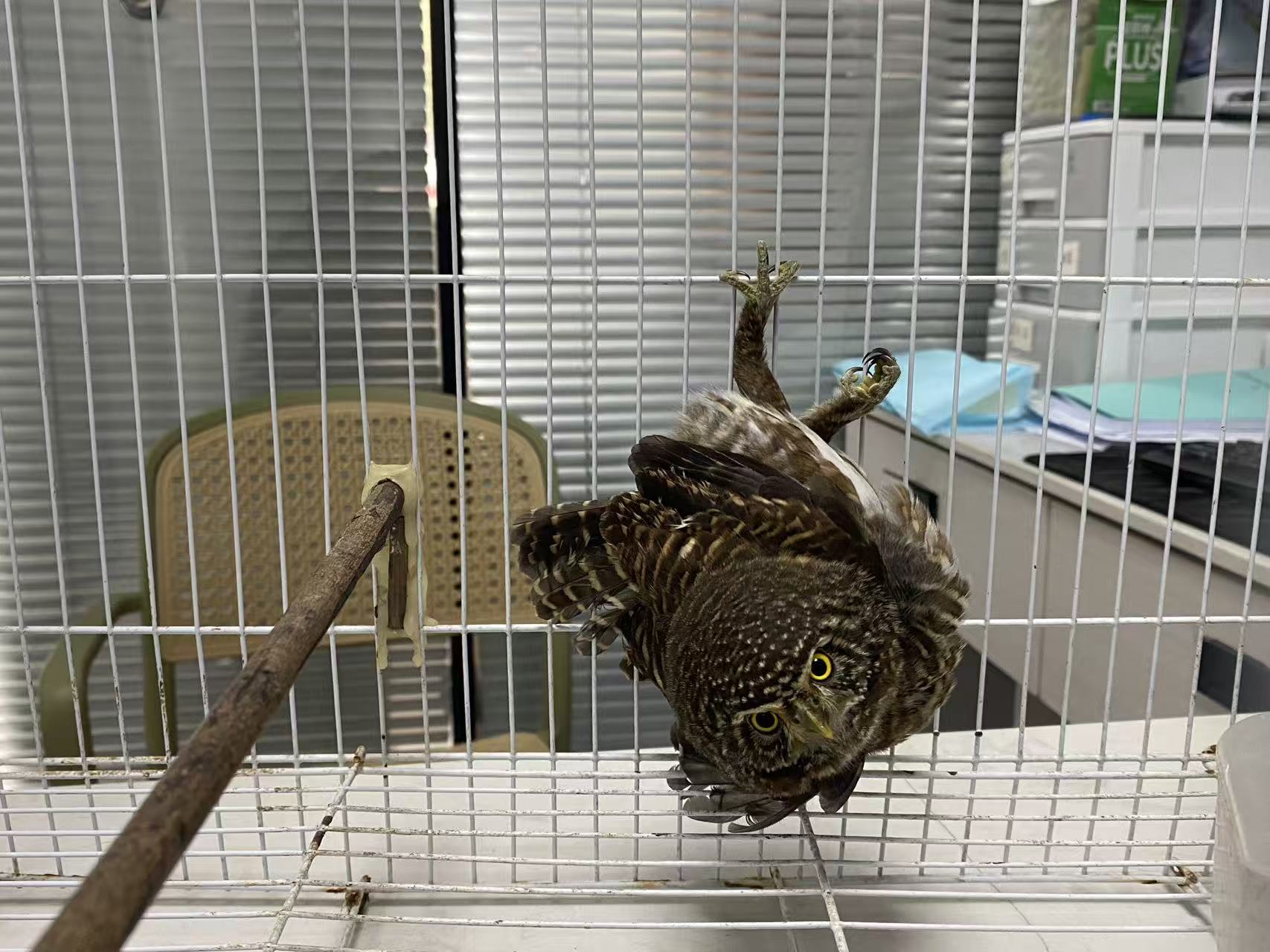 1320737bc652466be43aec1437a4b577.jpg 1320737bc652466be43aec1437a4b577.jpg