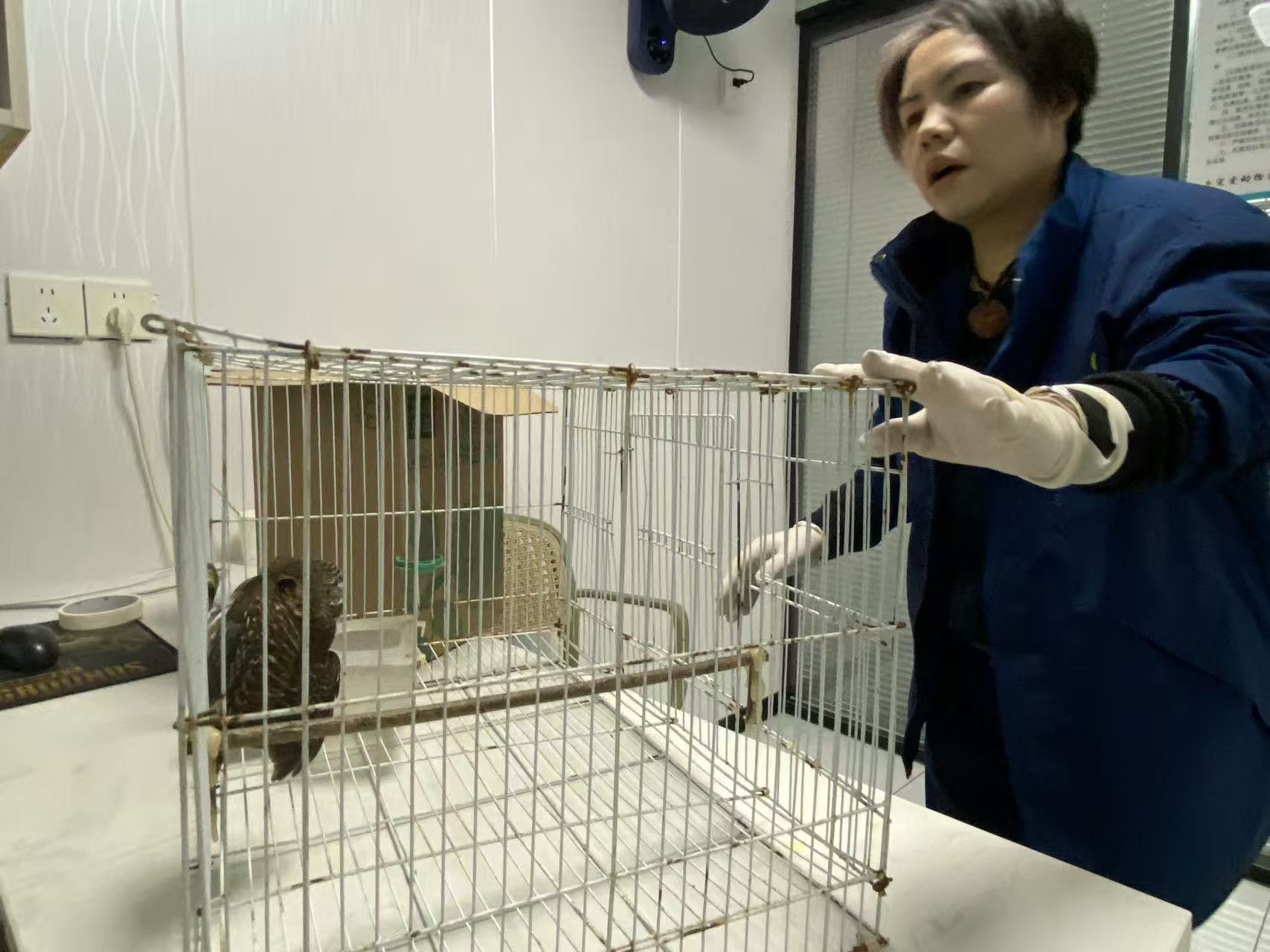 75155da0e1a61d2728258e91724cad9b.jpg 75155da0e1a61d2728258e91724cad9b.jpg