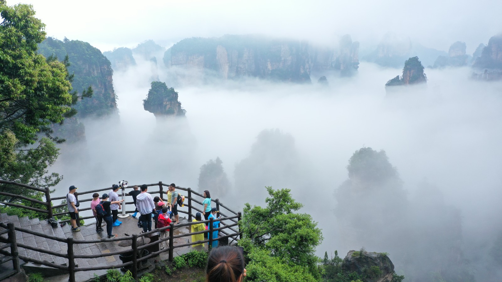 袁家界 张洪涛摄 (10).JPG
