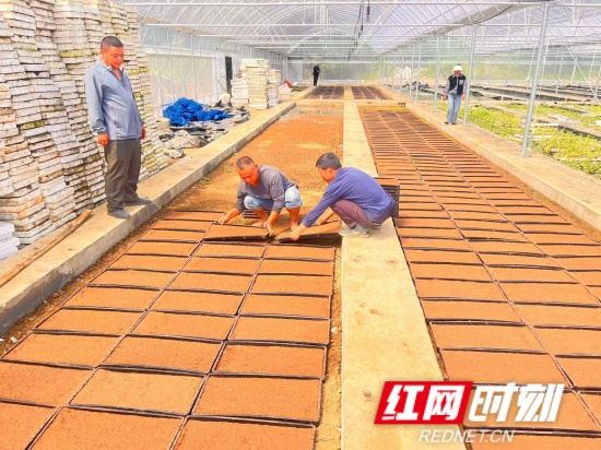 微信圖片_20250508093200.jpg