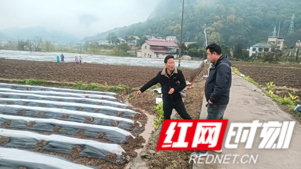 图片3_副本s.png 图片3_副本s.png