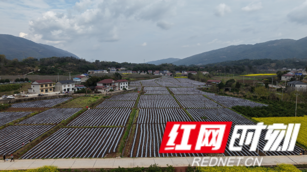 图片2_副本s.png 图片2_副本s.png