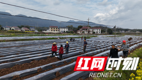 图片1_副本shi.png 图片1_副本shi.png