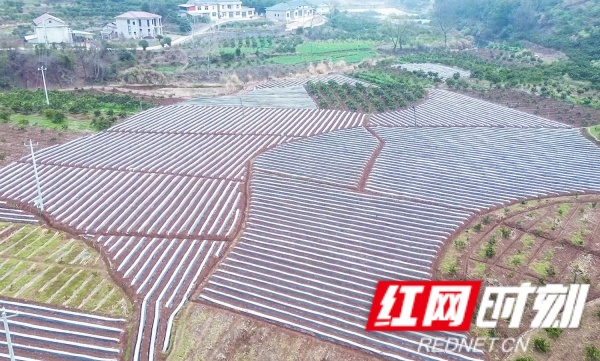 慈利县杨柳铺乡荷叶村:烟雨