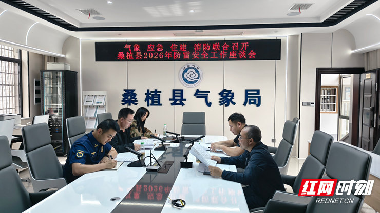防雷安全联席会议.jpg