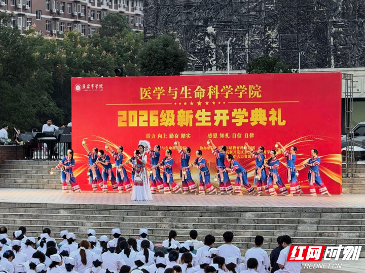 图片13.png