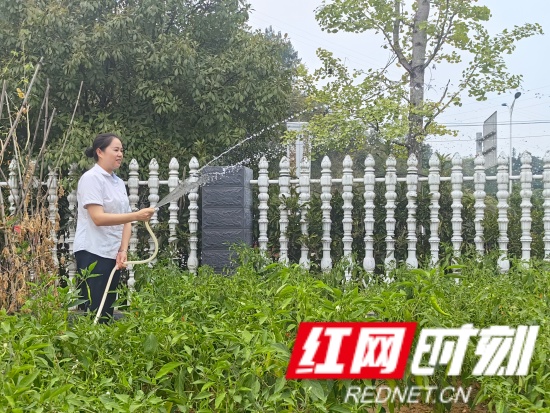 打造清凉环境，“三园”降温与除草美化并行_副本.jpg