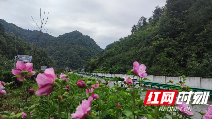 微信图片_20260228120043_9_648_副本.jpg 微信图片_20260228120043_9_648_副本.jpg