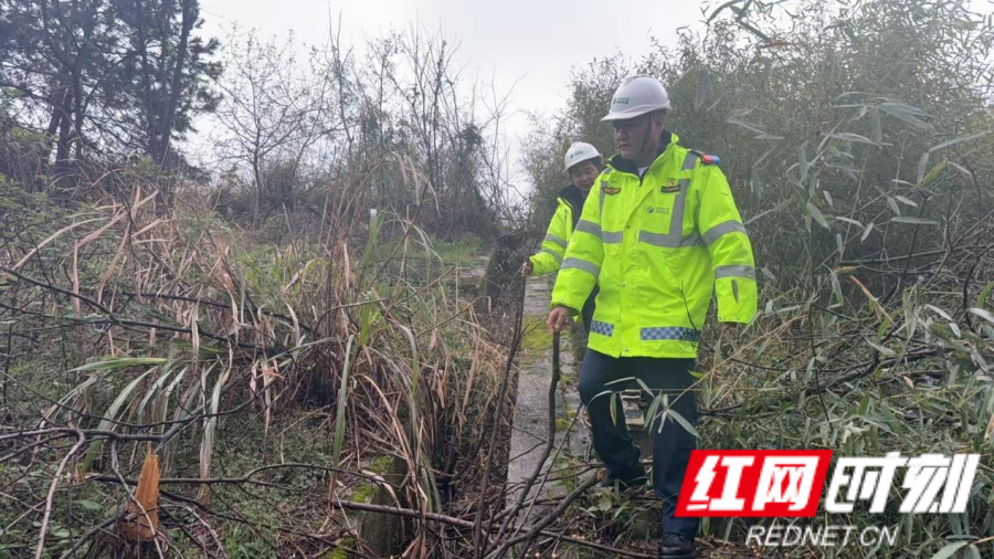 图片1_副本.png 图片1_副本.png