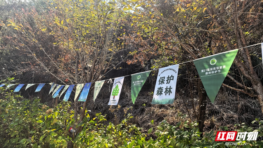 微信图片_20261014165011_3867_49.jpg