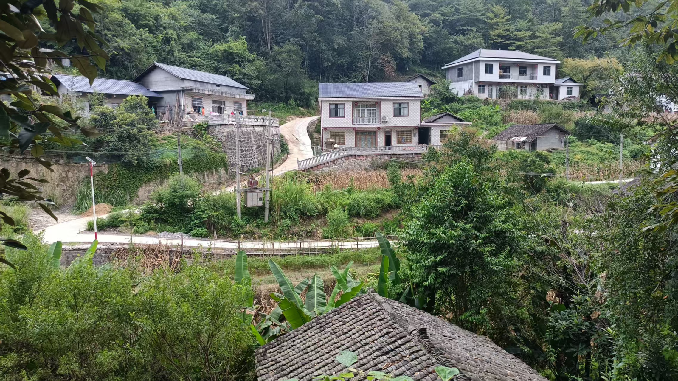 4入户道路硬化.jpg