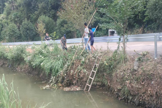 鹅公岭乡：河道清理进行时 碧水绿草展新颜