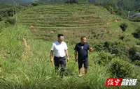 扎根苗乡侗寨践初心 绘乡村振兴美丽画卷——记湖南省担当作为优秀驻村第一书记李磊