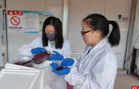 绥宁：多部门联动破局 助力杨梅销售“轻装上阵”