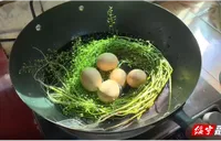 绥宁：三月三“煮鸟蛋” 民俗飘香纳安康