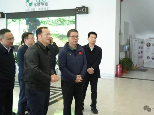 肖文伟到绥宁县调研指导乡村振兴工作