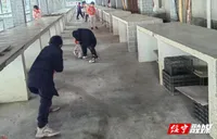 乐安学校开展“学雷锋，弯腰行”志愿活动