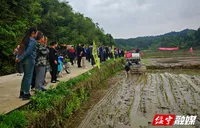 綏寧：科技賦能種業(yè)振興 打造現(xiàn)代農(nóng)業(yè)新引擎