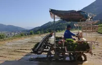 武阳镇：机械化插秧助力春耕跑出“加速度”