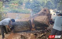 鹅公岭乡：多措并举筑牢安全防线 全力提升基层应急管理能力